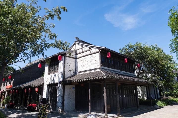 湖南省政协委员张敏纯:完善洞庭湖生态修复协调联动机制
